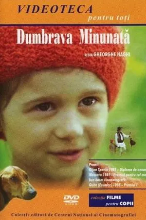 Постер к фильму Dumbrava minunata (1981)