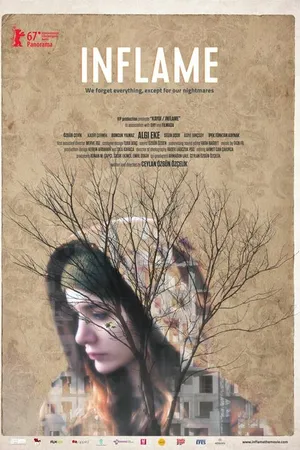 Постер к фильму Беспокойство (2017)