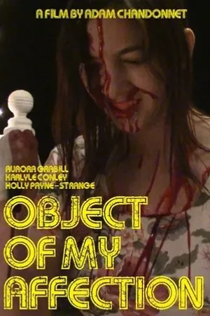 Постер к фильму Object of My Affection (2016)