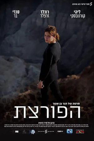 Постер к фильму Взломщица (2016)