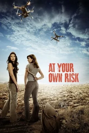 Постер к фильму At Your Own Risk (2018)