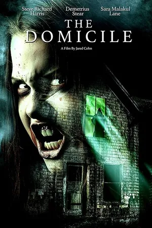 Постер к фильму Домициль (2017)