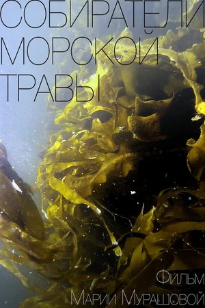 Постер к фильму Собиратели морской травы (2016)
