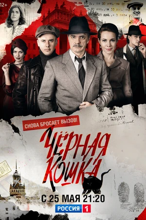 Постер к сериалу Черная кошка (2016)