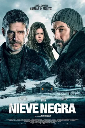 Постер к фильму Чёрный снег (2017)