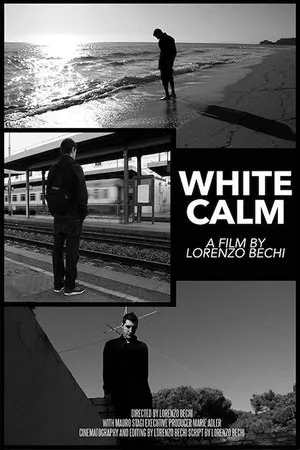 Постер к фильму Il talento del bianco (2020)