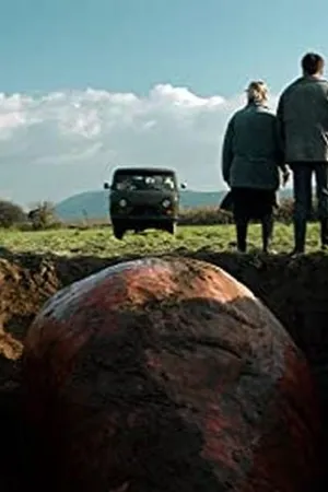 Постер к фильму A répa (2016)