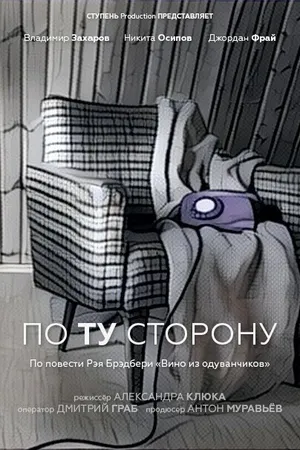 Постер к фильму По ту сторону (2016)