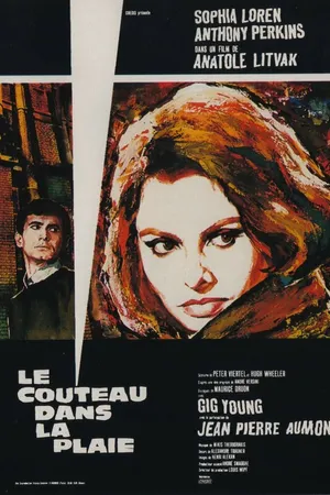 Постер к фильму Пять миль до полуночи (1962)