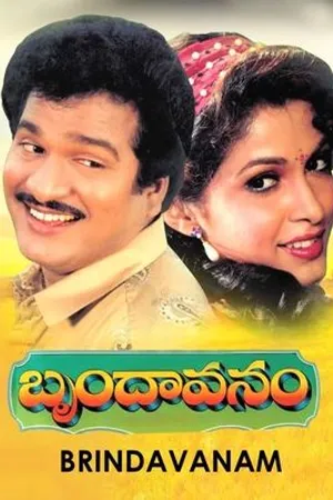 Постер к фильму Brindavanam (1992)