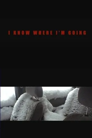 Постер к фильму Я знаю, куда иду (2009)