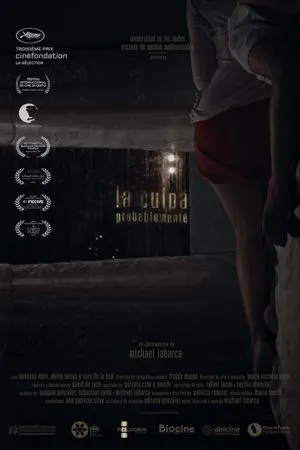 Постер к фильму Ошибка, вероятно (2016)