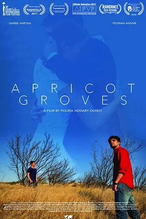 Постер к фильму Абрикосовые рощи (2016)
