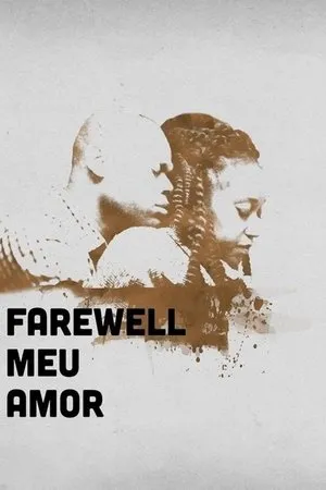 Постер к фильму Farewell Meu Amor (2016)