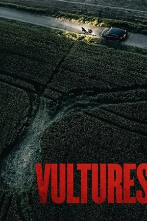 Постер к фильму Vultures (2025)