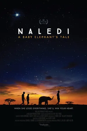 Постер к фильму Naledi: A Baby Elephant's Tale (2016)