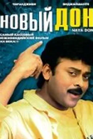 Постер к фильму Новый дон (1991)