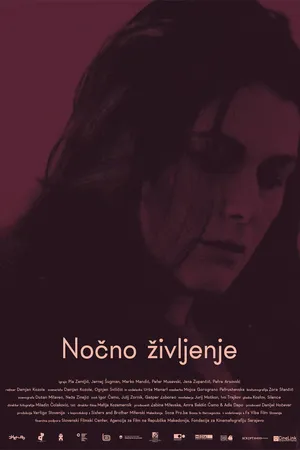 Постер к фильму Ночная жизнь (2016)