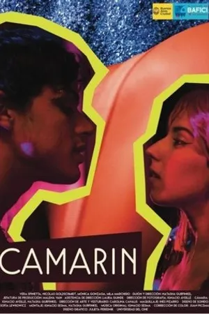 Постер к фильму Camarín (2016)