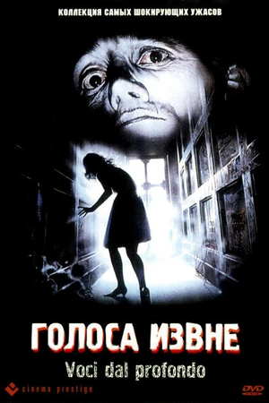 Постер к фильму Голоса извне (1991)