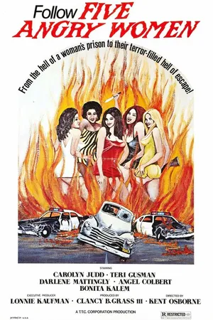 Постер к фильму Women Unchained (1974)