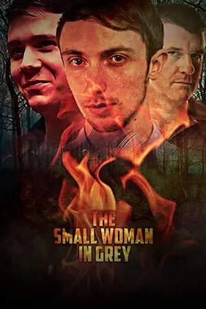 Постер к фильму The Small Woman in Grey (2017)