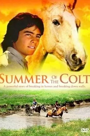 Постер к фильму Фьерро... Тайны одного лета (1989)