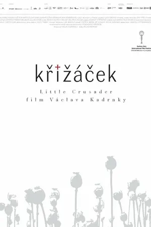 Постер к фильму Маленький крестоносец (2017)