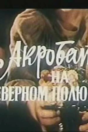 Постер к фильму Акробат на Северном полюсе (1982)