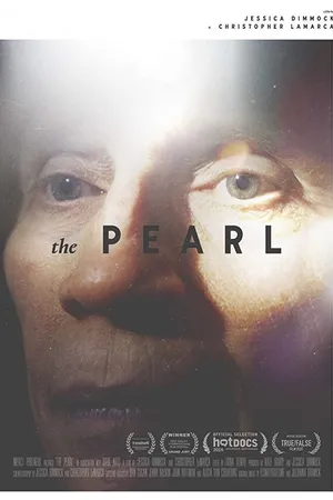 Постер к фильму The Pearl (2016)