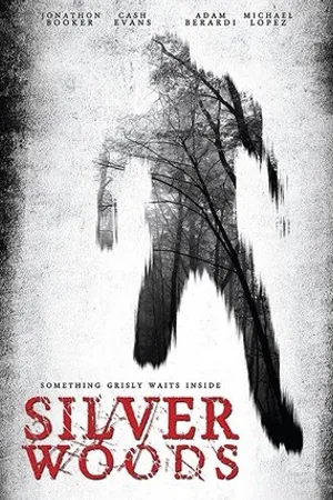 Постер к фильму Silver Woods (2017)
