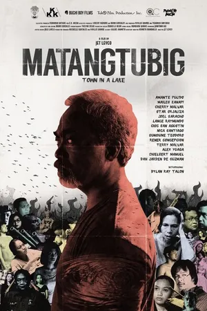 Постер к фильму Город в озере (2015)