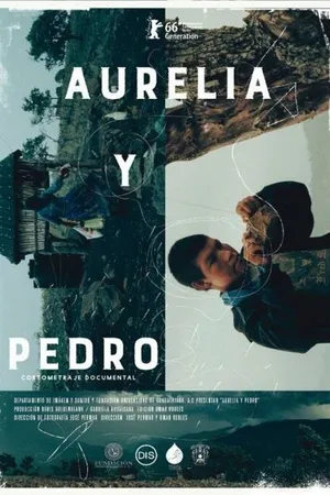 Постер к фильму Аурелия и Педро (2016)