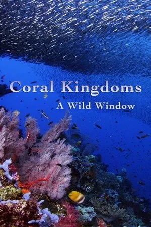 Постер к фильму Wild Window: Coral Kingdoms (2016)