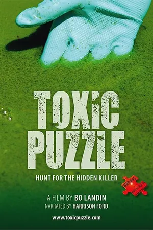 Постер к фильму Toxic Puzzle (2017)