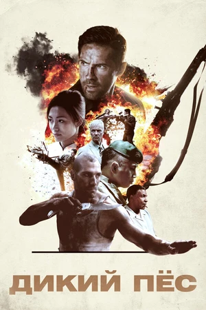 Постер к фильму Дикий пёс (2017)