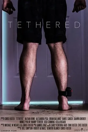Постер к фильму Tethered (2016)
