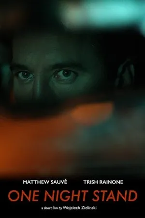 Постер к фильму One Night Stand (2016)