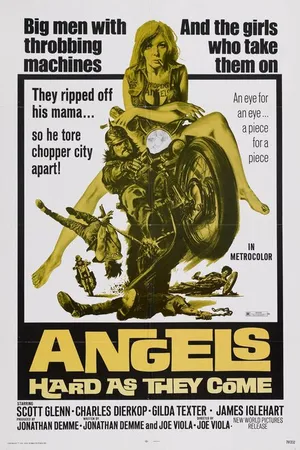 Постер к фильму Ангелов круче не бывает (1971)