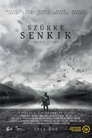 Постер к фильму Серые посланцы (2016)