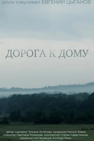 Постер к фильму Дорога к дому (2016)