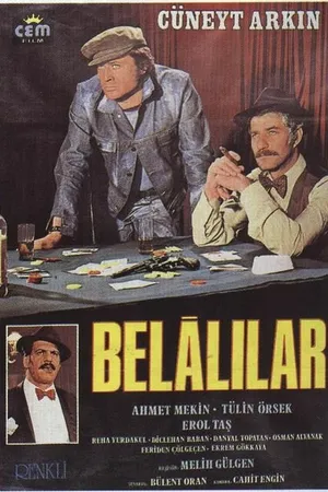 Постер к фильму Афера по-турецки (1974)