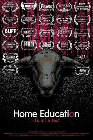 Постер к фильму Домашнее обучение (2016)