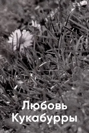 Постер к фильму Любовь Кукабурры (2014)