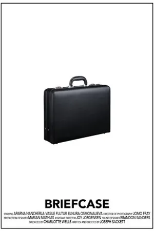 Постер к фильму Briefcase (2016)