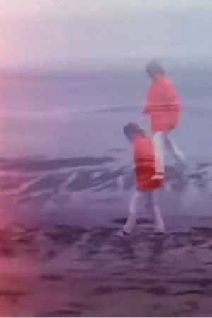 Постер к фильму Not the First Time (1976)