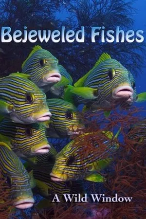 Постер к фильму Wild Window: Bejeweled Fishes (2016)