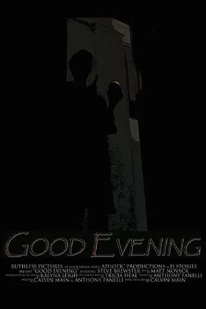 Постер к фильму Good Evening (2016)