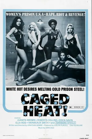 Постер к фильму Страсть за решеткой (1974)