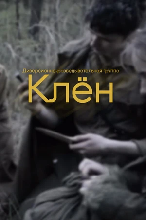 Постер к фильму Клен (2016)